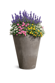 Preview: Klassischer hoher grauer Terracottatopf aus Impruneta - Cono